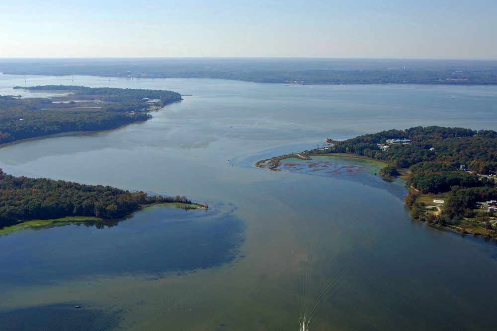 Mattawoman Creek The Pirate's Guide to Boating