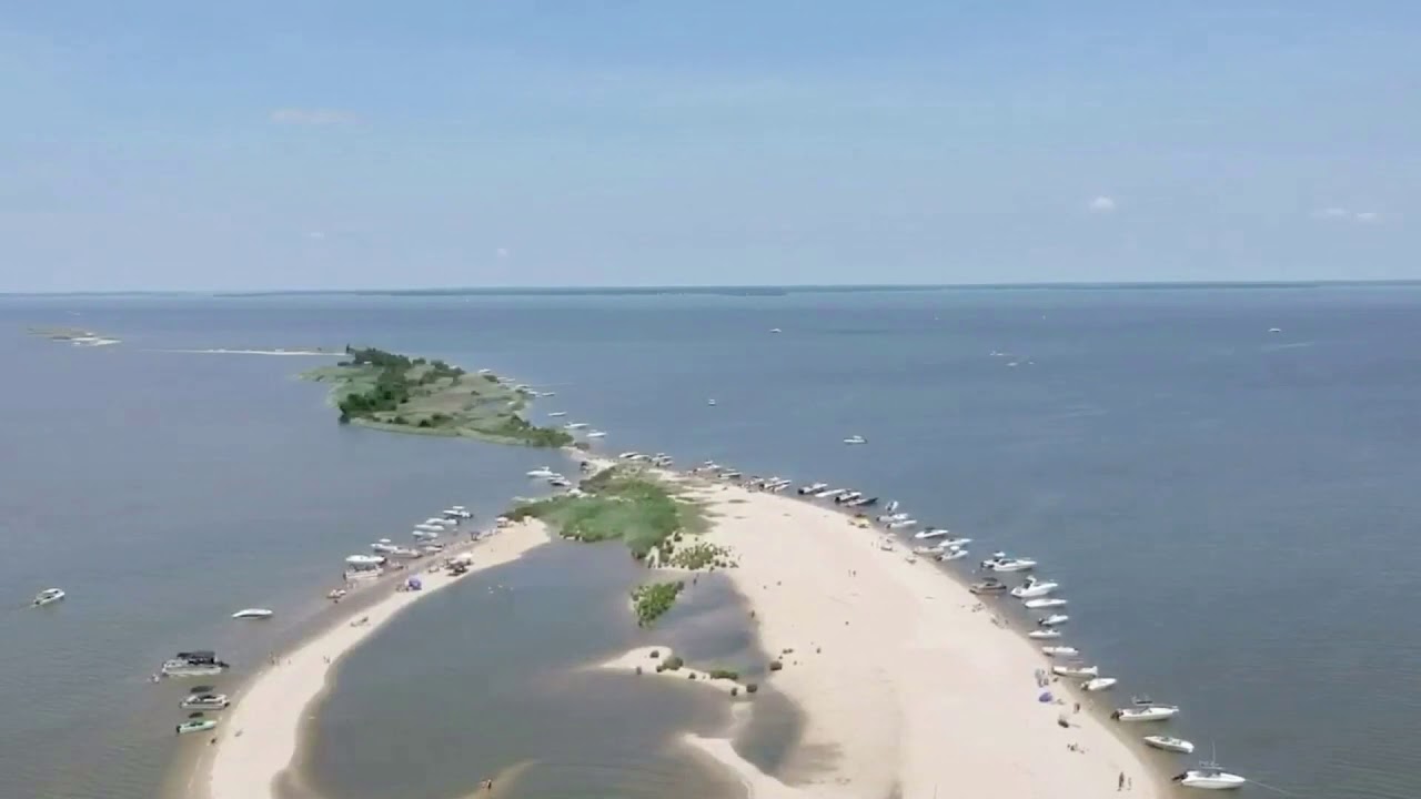 Shark tooth island nc